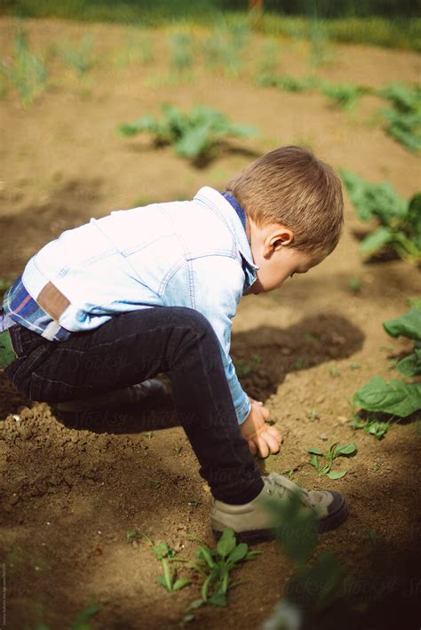 "Boy In Garden" by Stocksy Contributor "Jovana Vukotic" - Stocksy