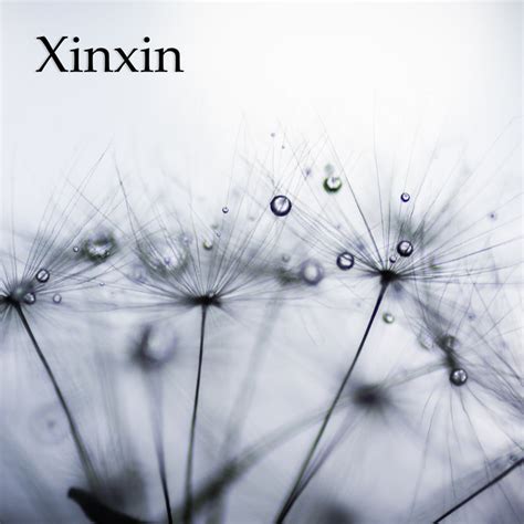 xinxin xin