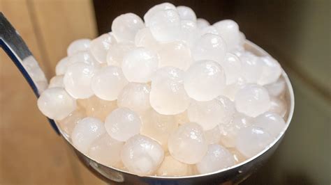cook large sago polar bear tapioca pearl youtube