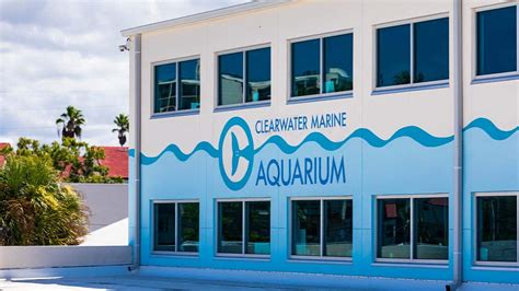 Clearwater Marine Aquarium | Clearwater, Florida • The Emily Paige