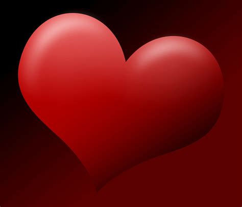 herz liebe valentinstag valentine kostenloses bild auf pixabay pixabay