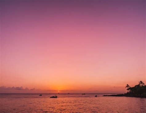 premium photo    day  evening