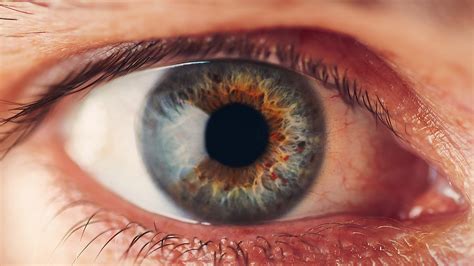 The Eyeball Test — Ryan Szulc Photography