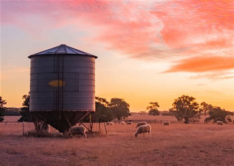 Regional Support - Elevate Health Australia
