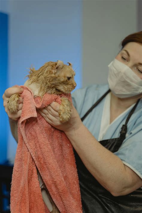 Tractor Supply Vet Clinic: Why Is It Your Pet’s Best Choice? - Euro