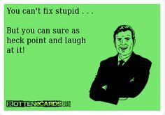 You Can't Fix Stupid...