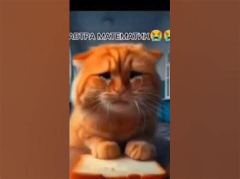 сегодня математик - YouTube