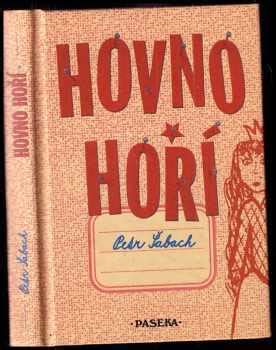 📗 Hovno hoří | Petr Šabach 2007