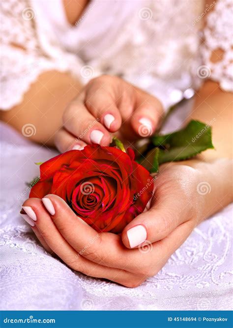 Bride with rose bouquet stock photo. Image of woman, female - 45148694