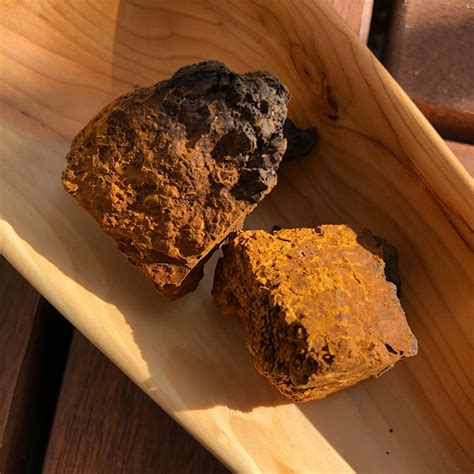 Buy Wild Chaga Mushroom Chunks from Lapland, Finland | TEEWALD – Teewald