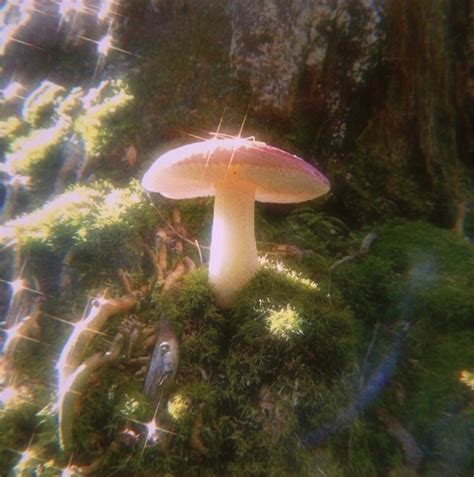 Pin di dea afriniadi su Cottagore | Estetica verde, Sfondi vintage ...