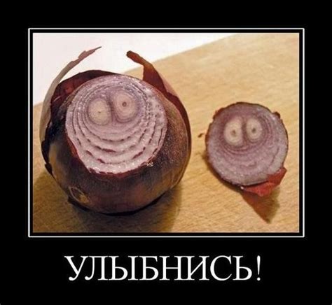 Демотиваторы - приколы! / Приколы