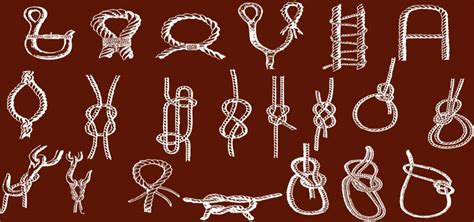 lets  knotty ota survival school