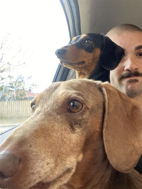 My “long-haired” dachshund is 9 months old and her hair isn’t long