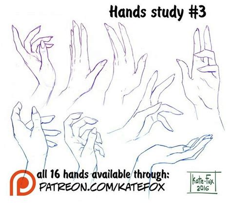 Pin by Дарья on референс рук | Hand drawing reference, Sketch book ...