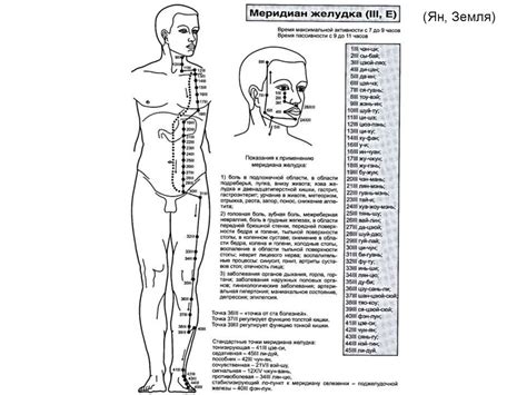 Точечный массаж - презентация онлайн
