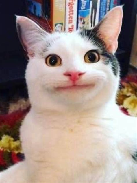 Goofy Pictures Very Funny Pictures Silly Pictures Wei - vrogue.co