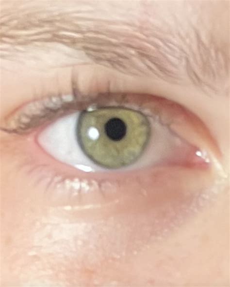 reveals eye reveal wattpad