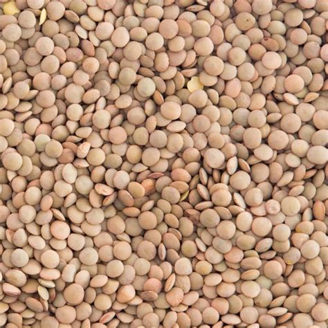 Brown Lentils 5 kg