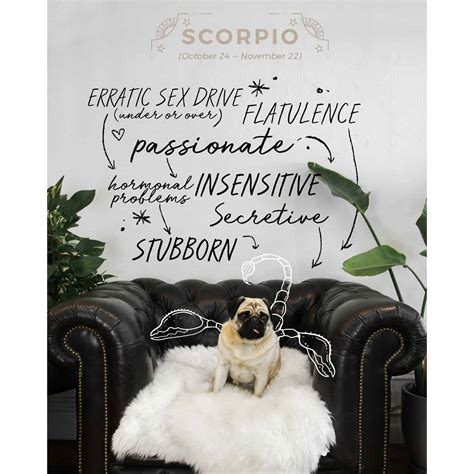 scorpio characteristics 9