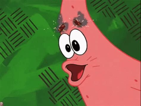 patrick star gif patrick star spongebob find og del giffer