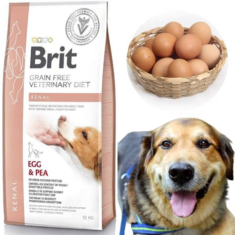 Brit Veterinary Diet Renal Egg&Pea Sucha Karma Jajko Groszek 12kg ...