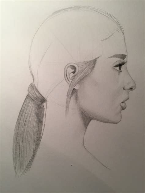 Side Profile Drawing at PaintingValley.com | Explore collection of Side ...
