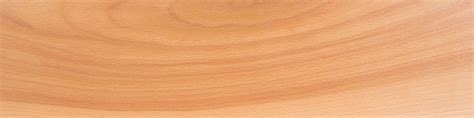 beech wood beech lumber