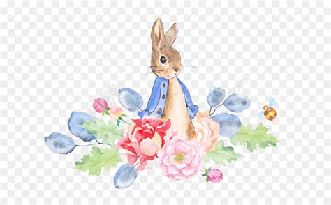 Peter Rabbit Watercolor at PaintingValley.com | Explore collection of ...
