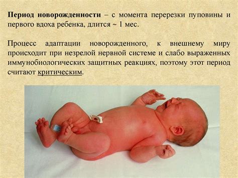 Анатомо-физиологические особенности доношенного ребенка - презентация ...