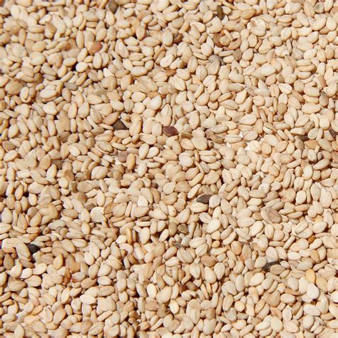 Natural Sesame Seeds - Sesame King