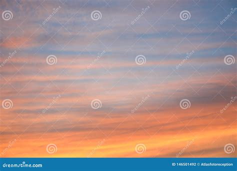 Dramatic Sunset Sky Background With Silhuette Trees, Yellow And Orange ...