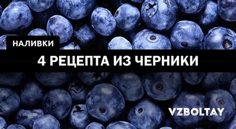 Наливка из черники: 4 рецепта в домашних условиях