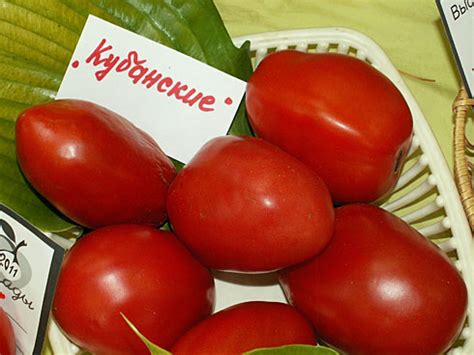 ЯРОСЛАВСКИЕ ТОМАТЫ