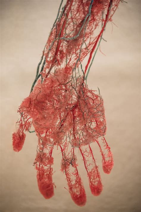 Mind-blowing photos of the unseen side of things