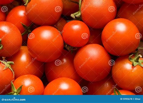 красные томаты стоковое фото. изображение насчитывающей вкусно - 5995678