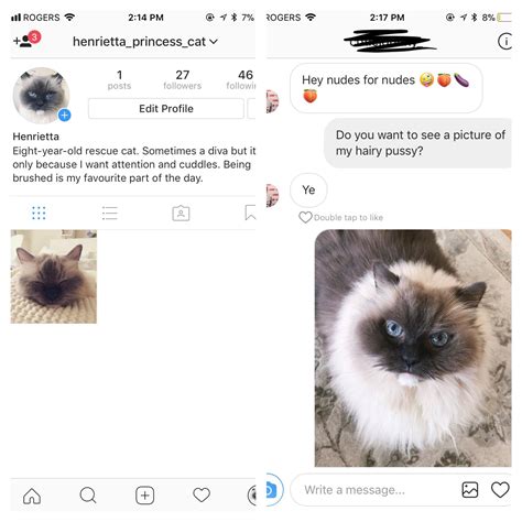 When you make an Instagram account for your cat and the first DM you