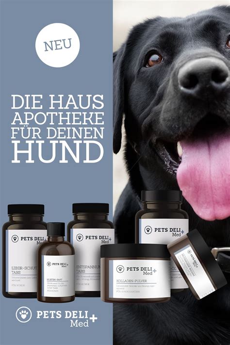 Die Hausapotheke für Deinen Hund - Pets Deli Med | Hunde, Hausapotheke ...