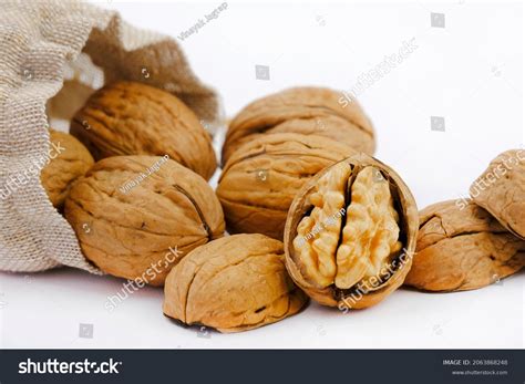 walnuts akhrot  white background dry stock photo