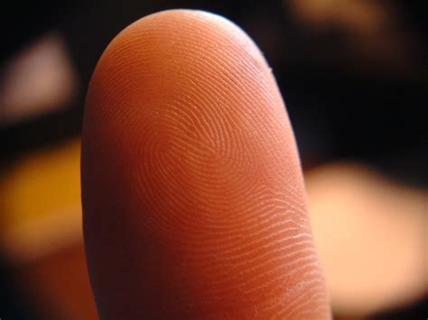 Premium Photo | Finger