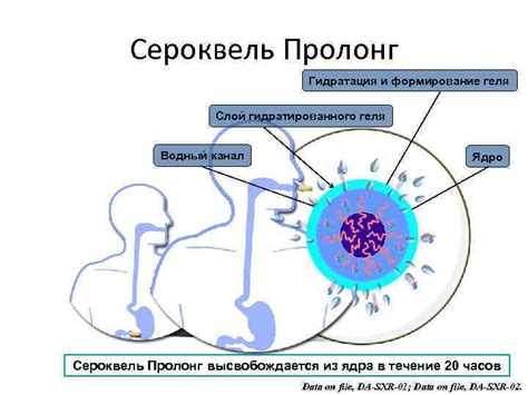 Основы биологической терапии психически больных Доцент кафедры психиатрии