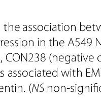abbreviations ptbp human polypyrimidine tract binding protein