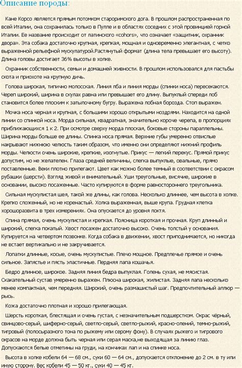 Кане Корсо (фото, видео, описание породы)