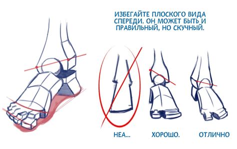 Анатомия. Ноги - CG Magazine