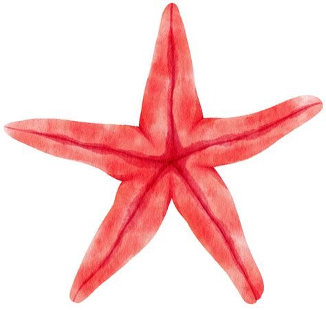 Sea Of Stars 2