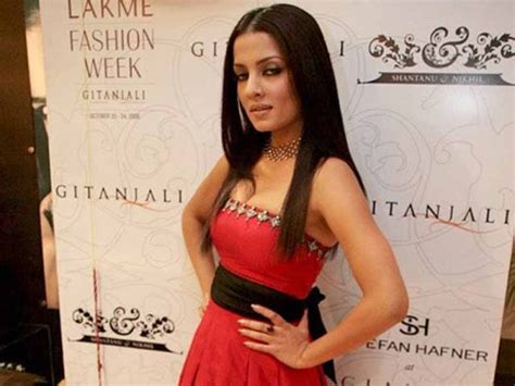 celina jaitly biography   india  seema