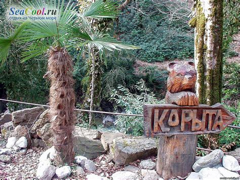 Дагомысские корыта