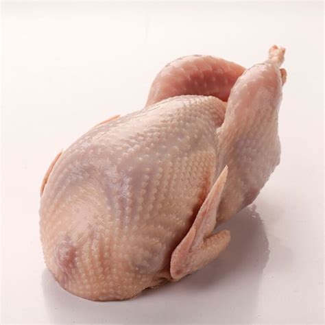 Buy Quail Meat - Buy Whole Quail - Rabbit Meat For Sale Online