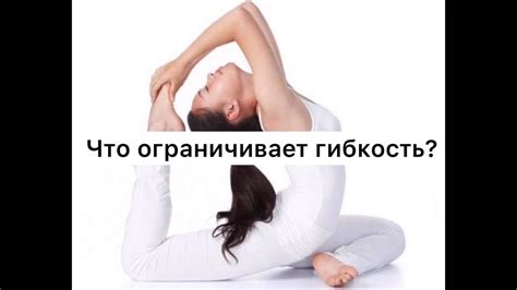 От чего зависит ГИБКОСТЬ тела? - YouTube