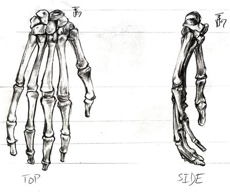 Skeleton Hand Drawing Tutorial at PaintingValley.com | Explore ...